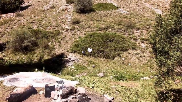 В горы по грибы. Плато Ассы – Август 2018. (Часть 5, последняя) смотреть онлайн