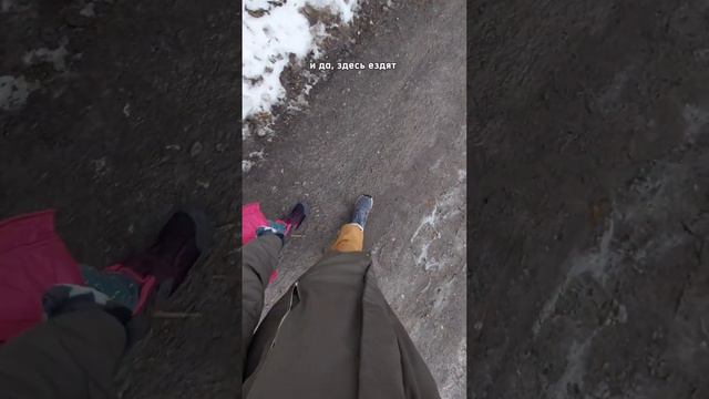Как поляки проводят выходные дни: семейные поездки на природу