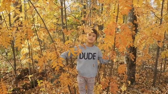 Поздравление в День Добра и Уважения смотреть онлайн