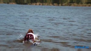 Wetlook girl - Lera fully clothed wetlook