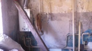 Ремонт угловой однокомнатной хрущевки 31 кв. Этап 1.