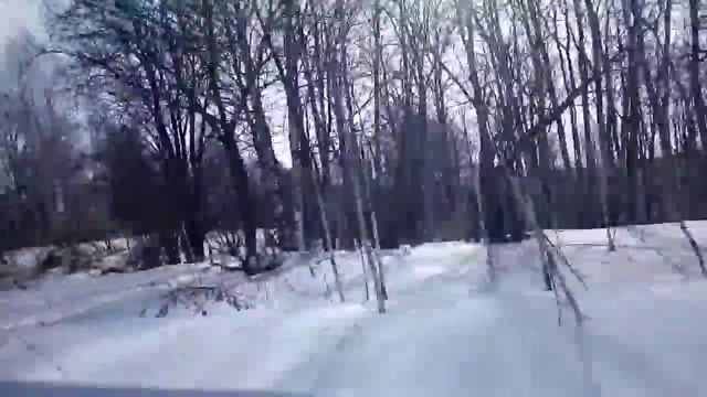 излап . тайга . пасека. смотреть онлайн