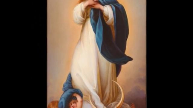 AVE MARIA. поёт ОЛЬГА ПАВЕНСКАЯ...муз. Вавилова В.Ф.