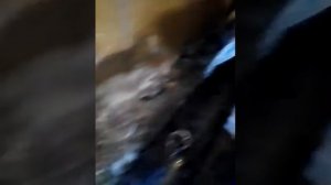 Микроша 200 пнц в работе