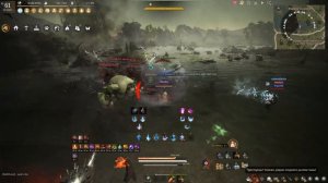 [Black Desert] Первые PvP потуги на Nova Succession