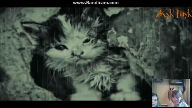 Реакция на стих "Уродливый кот" смотреть онлайн