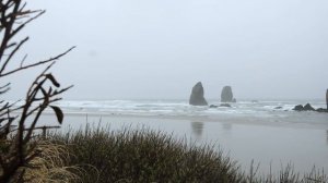 Fujifilm XH2 Cinematic Travel Video - Oregon Coast