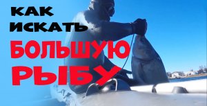 ОХОТА НА ТОЛСТОЛОБИКА!!! ИСКАТЬ, НАЙТИ, ВЗЯТЬ!!!