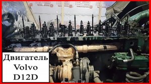 volvo d12d