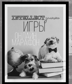 Игры с собакой / Интеллектуальные игры