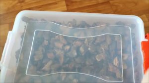 Подготовка коры для орхидей