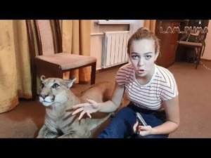 Пуматерапия - Машатерапия )))