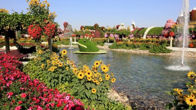 Miracle garden Dubai || Images || ticket || night || Heaven on Earth || Best art form || must go || смотреть онлайн