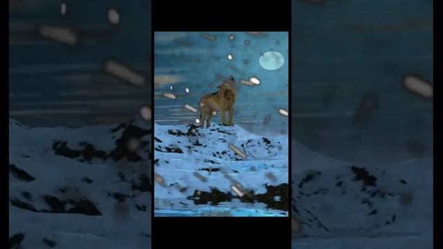 Вьюга Шум ветра зимой и вой волка ночью