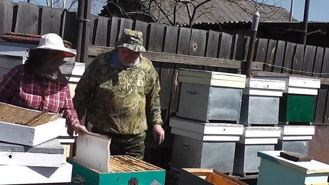 Подушки и холстики для пчёл. Наш выбор. смотреть онлайн