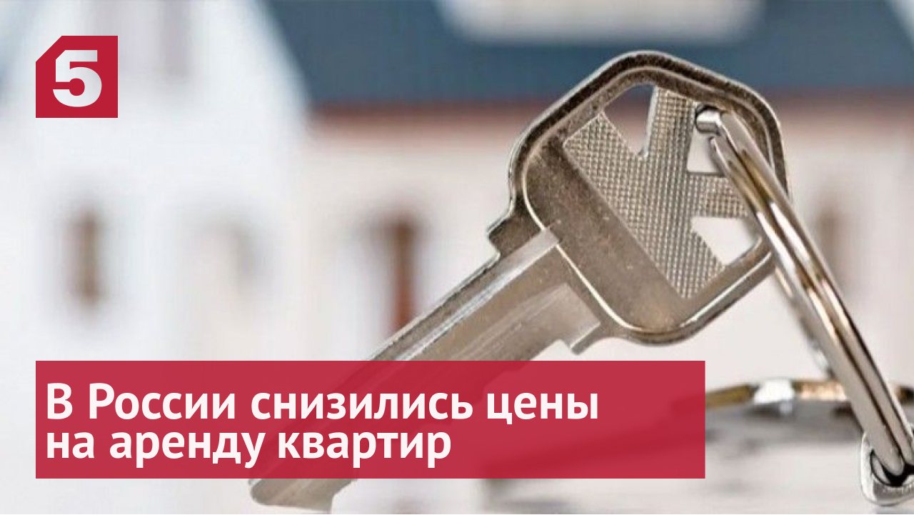 Аренда квартир подешевела в России из-за увеличившегося на 50% предложения