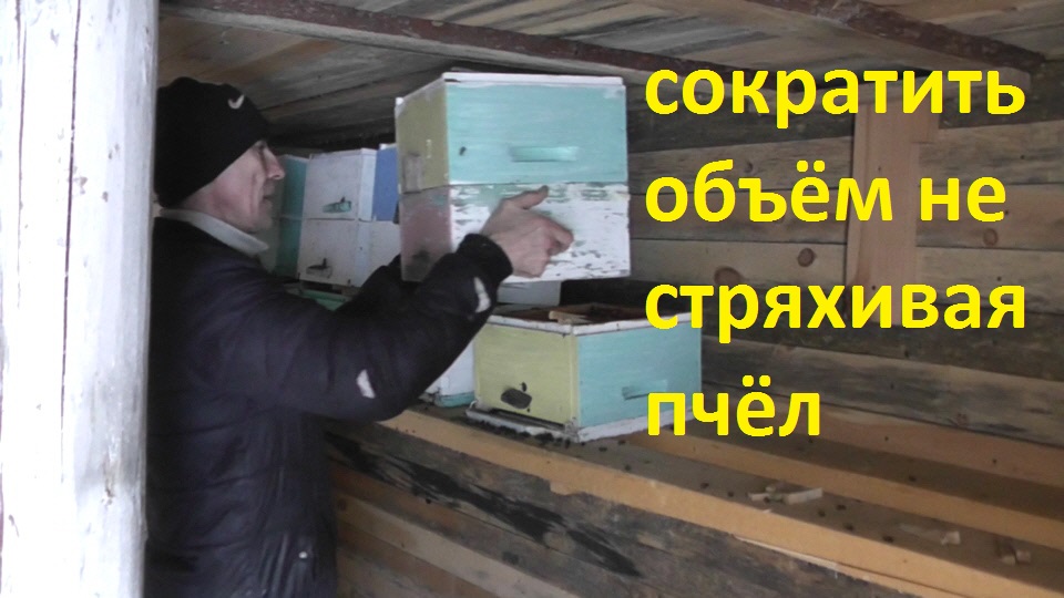 зимовка семеек на минирамках смотреть онлайн