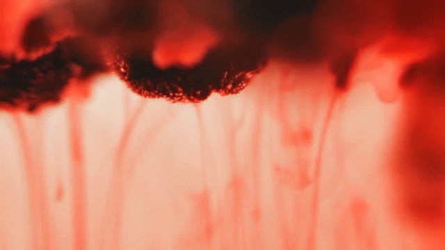 Чайник SMEG культовой серии 50style смотреть онлайн