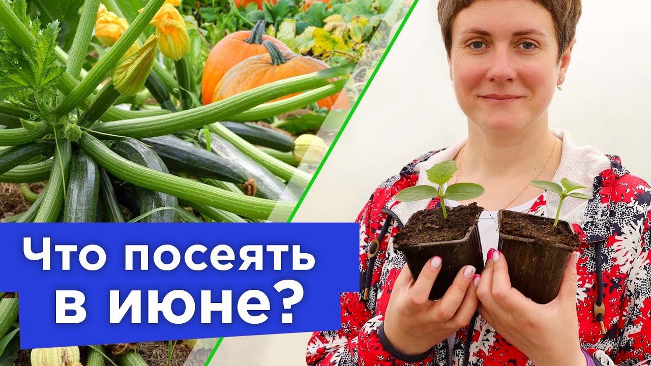 УСПЕЙТЕ ПОСЕЯТЬ В ИЮНЕ! Какие овощи дадут отличный урожай при посеве в июне, а какие лучше не сеять