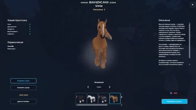 Новые Шайры и уздечки в Star Stable Online! смотреть онлайн