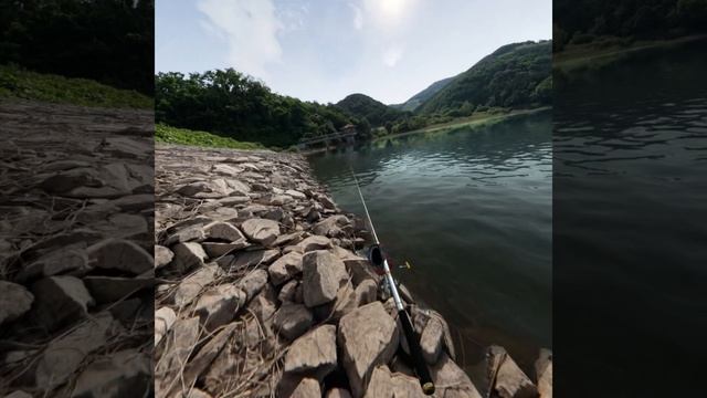 Real VR Fishing Simulator for PICO4 Headset #vr #vrgaming #pico смотреть онлайн