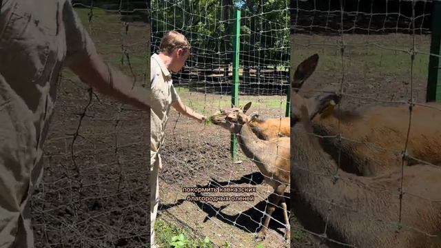 Активный день в Армении