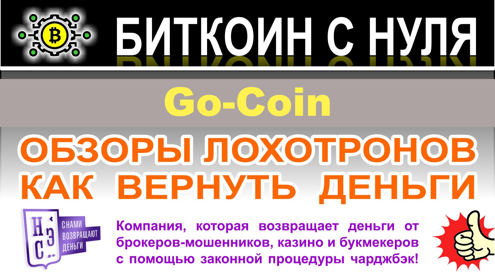 Go-Coin: стоит ли инвестировать в эту компанию? Скорее всего лохотрон. Отзывы. Как вернуть деньги.