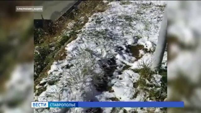 Первый снег выпал на Ставрополье