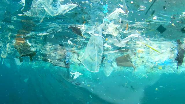Микропластик  в твоей воде - microplastic in water