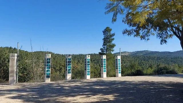 Лето посреди зимы.Лес Цора или Президентский в Израиле.08.01.22 смотреть онлайн