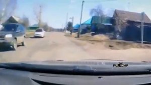 АЛАБАЙ НАПАЛ НА ШКОЛЬНИКА