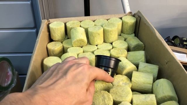 КАКИЕ удобрения использовать для гидропоники и аэропоники?