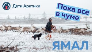 Дети Арктики | Путешествия | Пока все в чуме