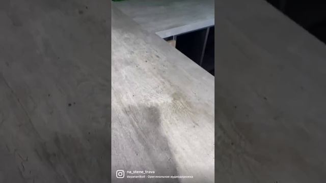 Панно из мха - лето у вас дома