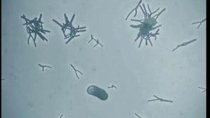 Чем опасны бассейны для детей?