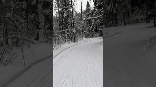 Впервые на лыжной трассе Касарка рядом с городом Переславль-Залесский #shorts