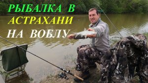 Рыбалка в Астрахани. ВОБЛА, ЛЕЩ, КАРАСЬ.