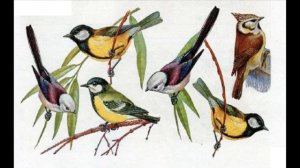 Окружающий мир 3 класс ч.1, тема урока "Мир животных", с.86-89, Перспектива.