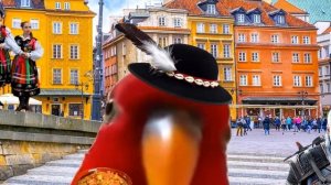 Red Bird in different languages meme!
