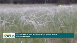 Поток туристов в Наурзумском заповеднике увеличился на 50%
