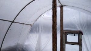 Теплица из полипропиленовых труб год спустя. Плюсы и минусы. Добавлены фото теплицы.