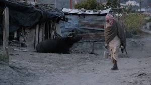 Пространство свободы ~ Муджи