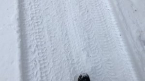 КУПИЛ АЙФОН 11 НА АВИТО ЗА 22000 рублей