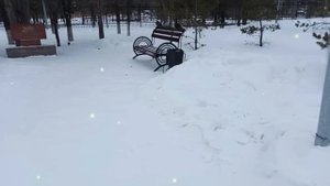 Пока ты живешь с моим сыном, в твоей старой квартире будет жить мой сын...
