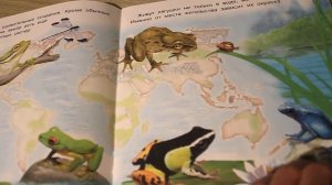 СКАЗКИ от слез / от капризов / СОННЫЕ СКАЗКИ / Детские книги под Новый Год