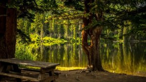 1 Hour Alpha Waves Meditation Music