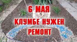6 мая. Клумбе нужен ремонт
