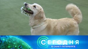 «Сегодня в Санкт-Петербурге»: 30 августа 2024 года