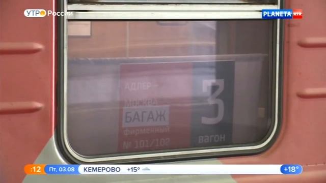 Перевозка животных без хозяев