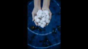 TUSHDA PAXTA TABIRI | TUSHDA PAXTA KO'RSA NIMA BO'LADI..!